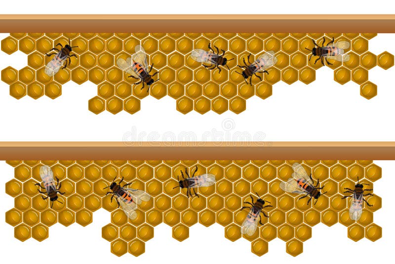 Bee hive pattern royalty free illustration