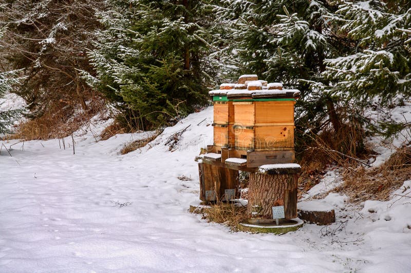 Bee hives in winter stock photo. Image of snow, resistance 109140542