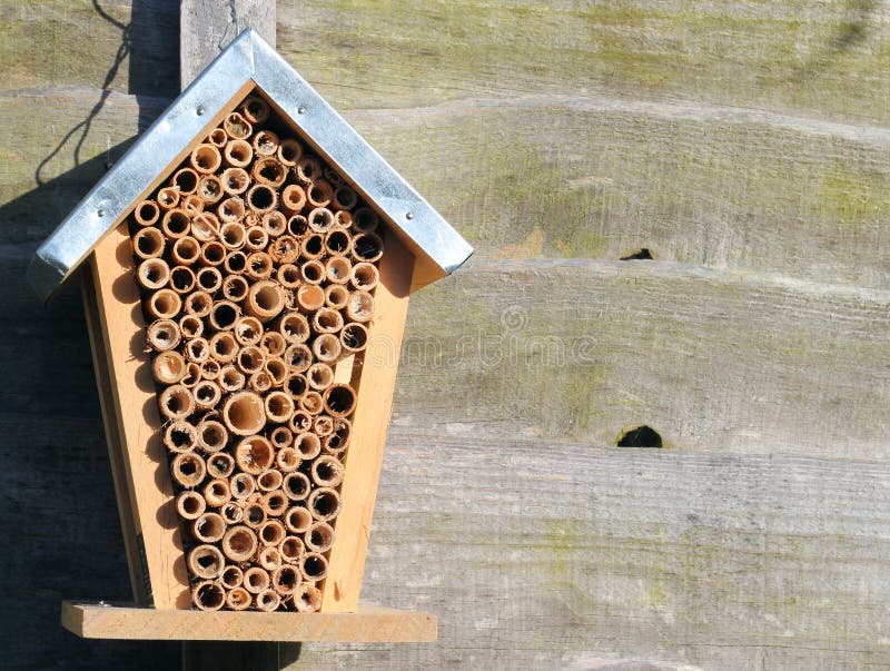 A bee house or hive.