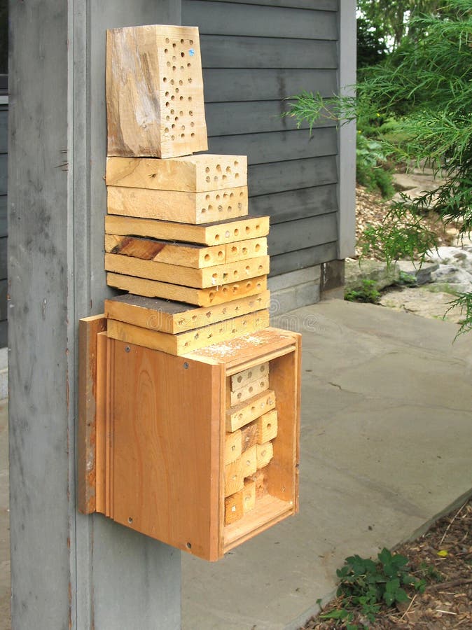 Bee House For Orchard Mason Bees Stock Photo - Image of 