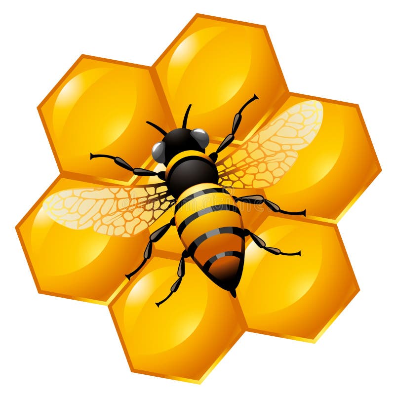 Bee on a part of honeycomb stock illustration