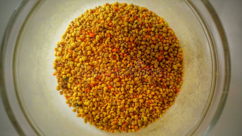 Bee Pollen royalty free stock photos