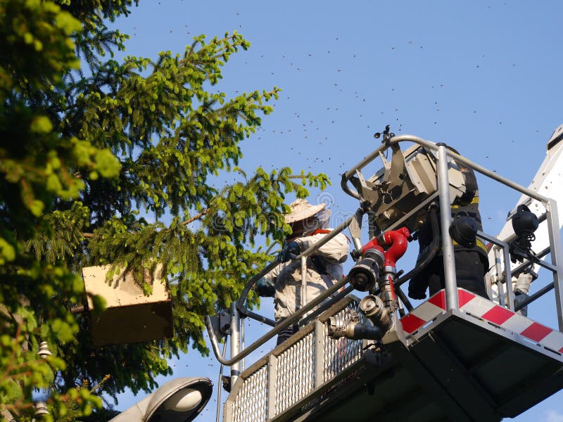 Bee swarm and fire brigade