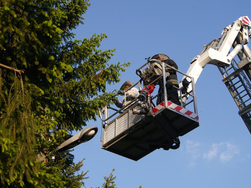 Bee swarm and fire brigade