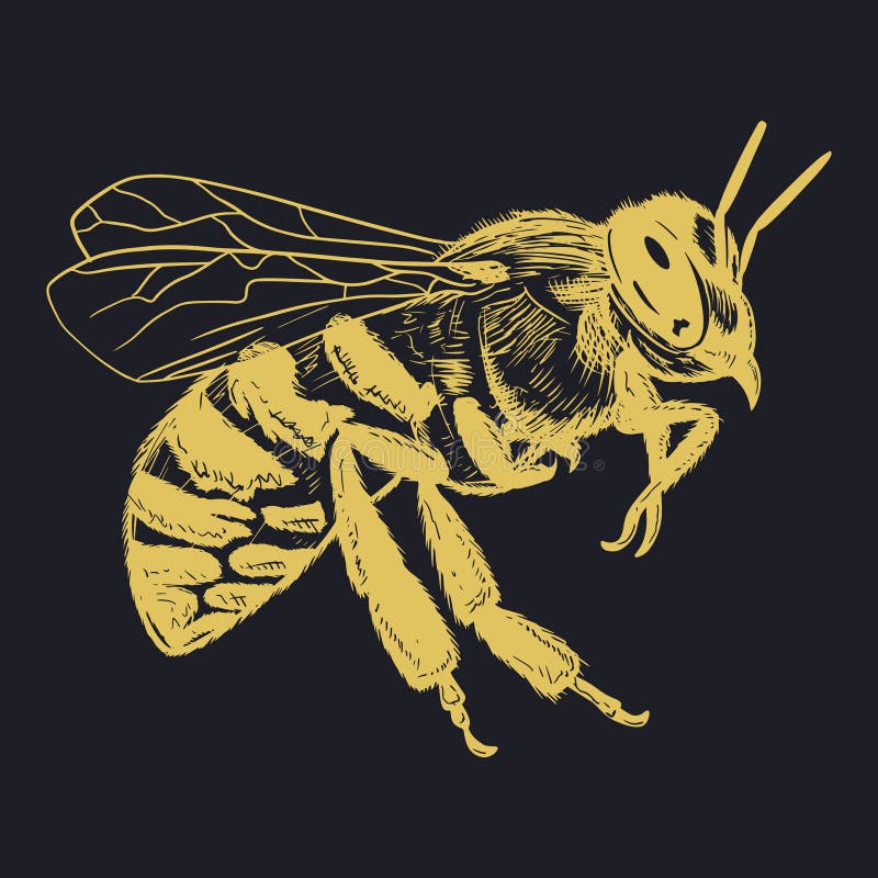 Honey Bee Black Vector Icon Stock Illustration - Download Image Now -  Beekeeper, Studio Shot, Bee - iStock