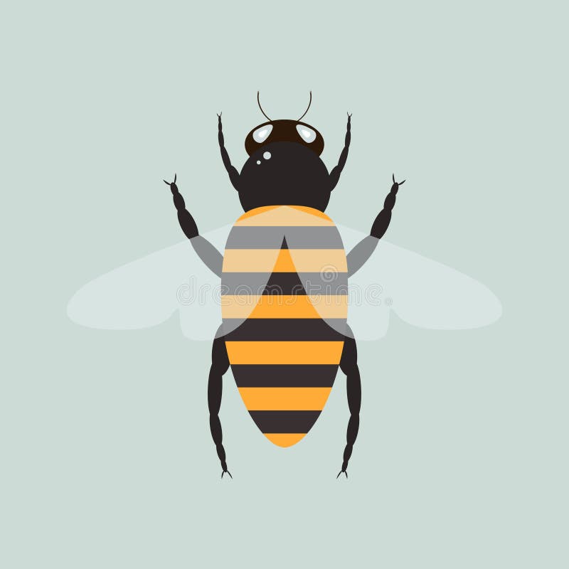 Bee with wings stock vector. Illustration of animal, cartoon 91622481