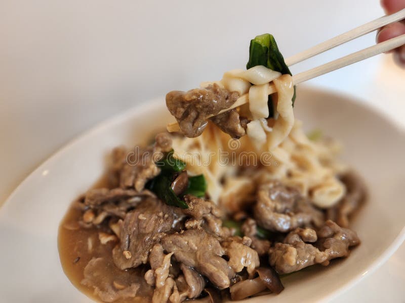 Beef noodle with gravy stock image. Image of food, beef 304068049