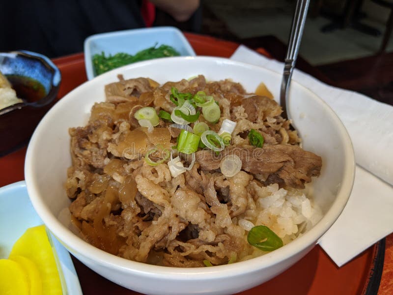 Beef over rice japanese stock photo. Image of meal, japanese 224477628