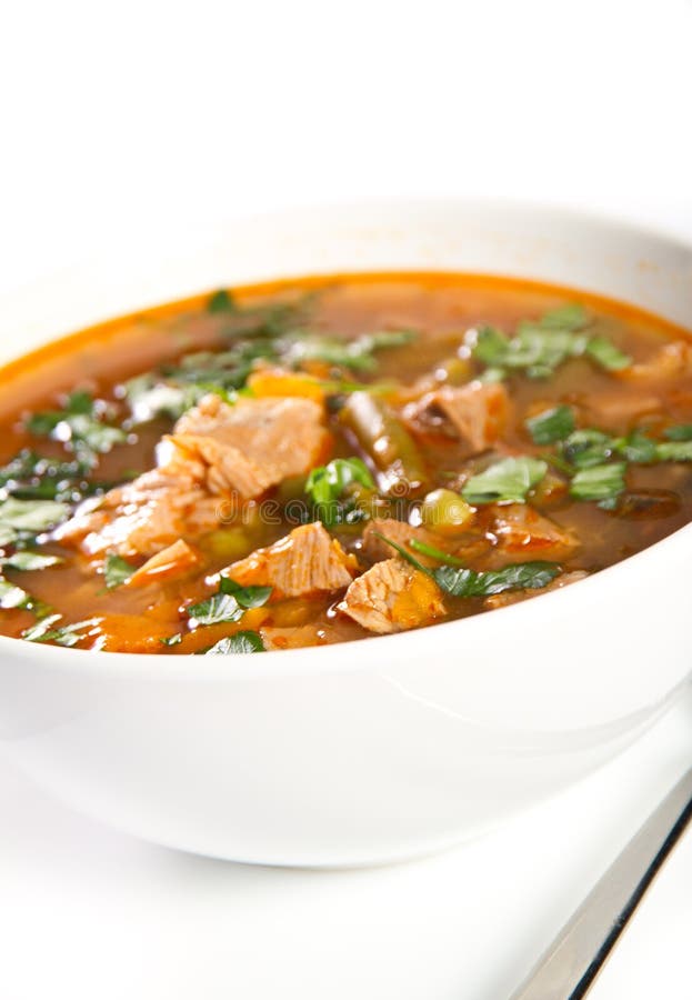 Beef stew stock photo. Image of protein, spoon, meat, celery 2077870