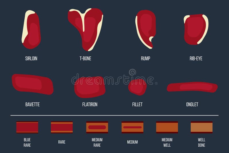 Beef steaks stock vector. Illustration of vector, meal 100405482