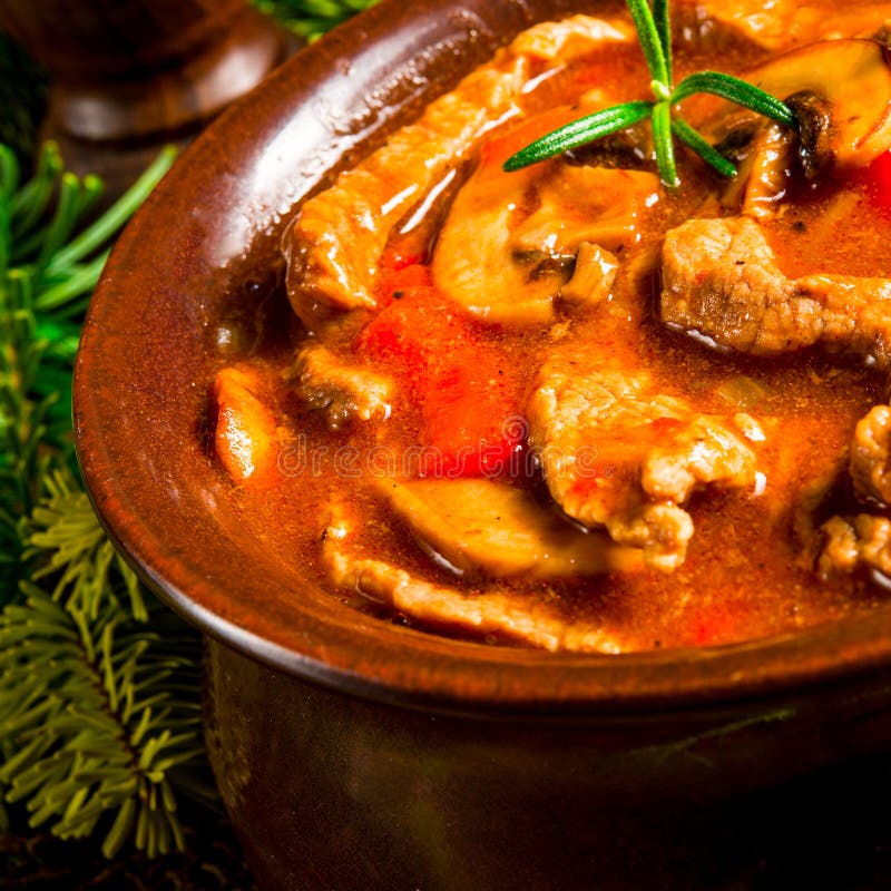 Beef Stroganoff stock image. Image of beef, boiled, dill - 48774609