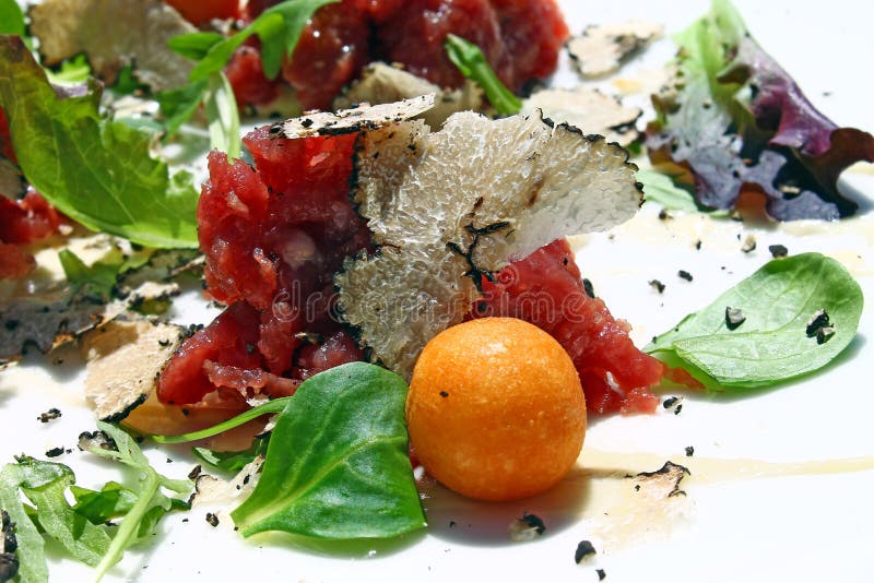 Beef Tartare with Black Truffle Stock Image Image of meat, beef 91445919