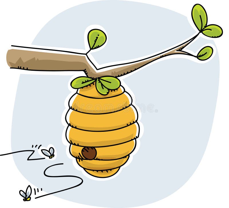 Beehive stock illustration. Illustration of leaf, branch - 41571498