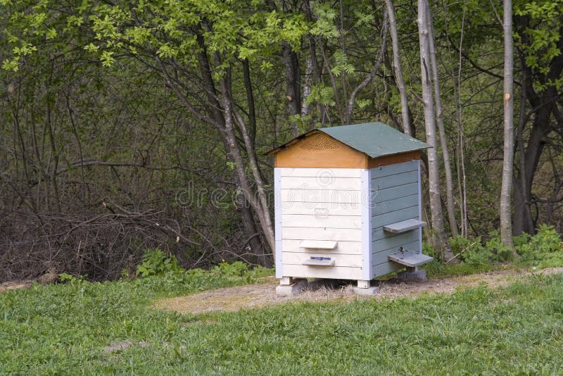 Beehive on a wood glade