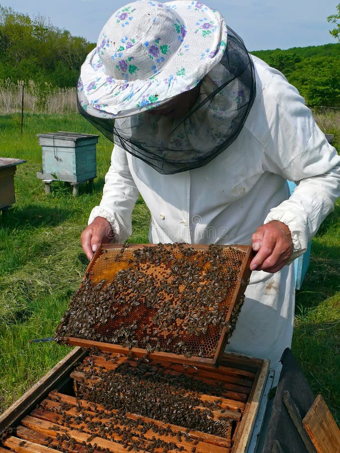 Beekeeper 10