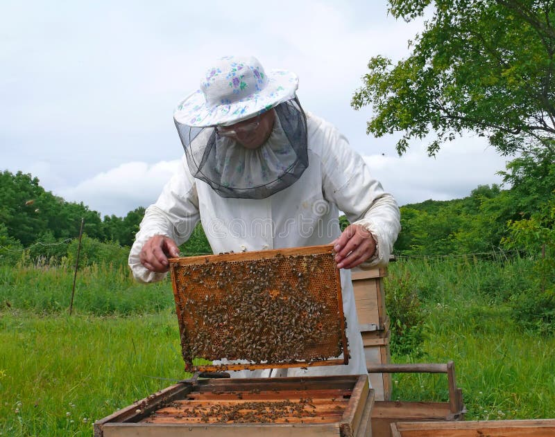 Beekeeper 16