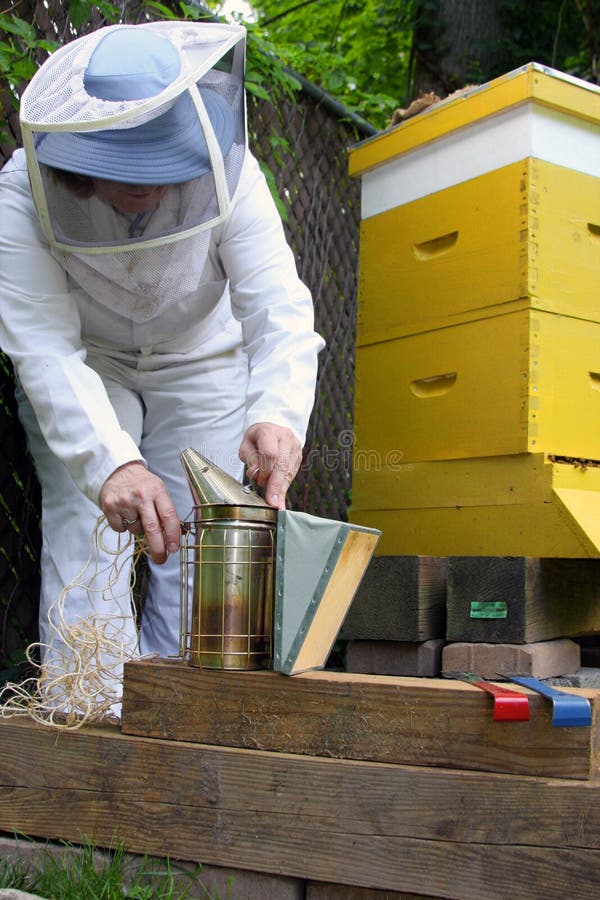 Beekeeper and hive