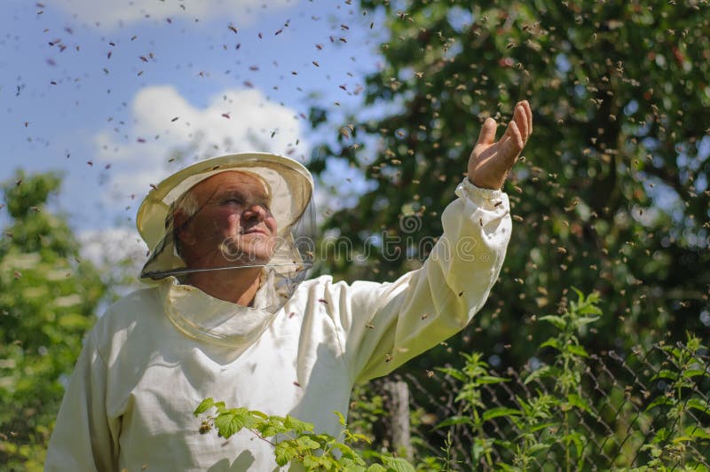 Beekeeper- och bisvärm arkivbilder Beekeeper- och bisvärm arkivbilder