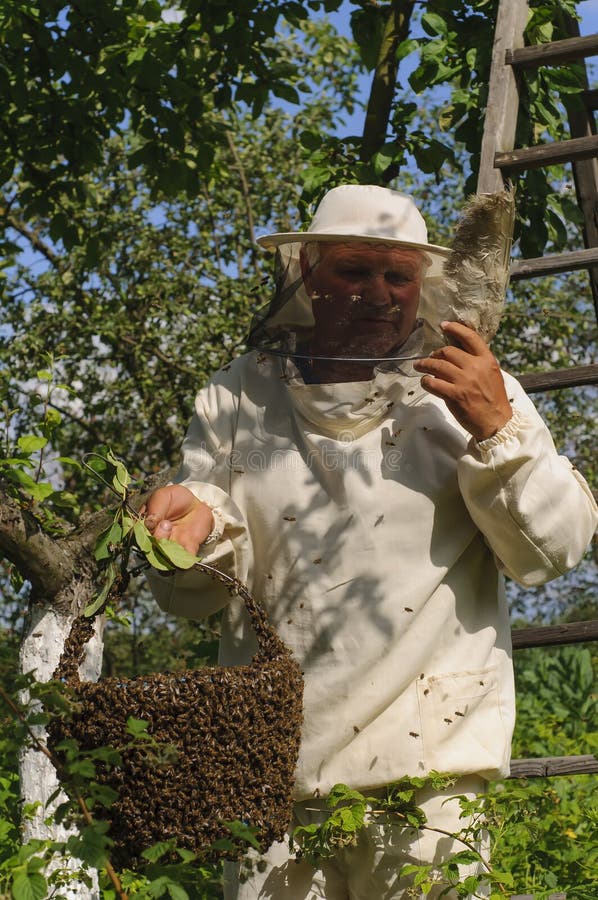 Beekeeper som rymmer en bisvärm royaltyfri bild Beekeeper som rymmer en bisvärm royaltyfri bild