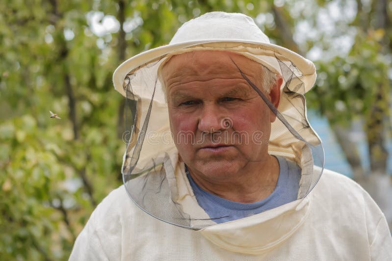 Beekeeper is Working with Bees and Beehives on the Apiary Stock Photo