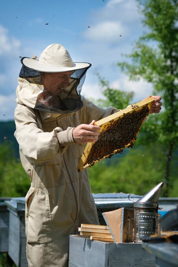 58,196 Beekeeping Stock Photos Free & RoyaltyFree Stock Photos from
