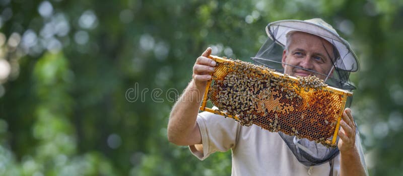 Beekeeper works in a hive - adds bees frame stock photos