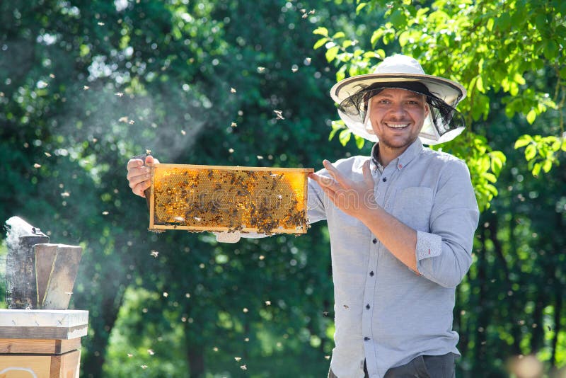 Beekeeper на работе деревянной пчелой hives Молодой фермер в его ферме стоковая фотография rf