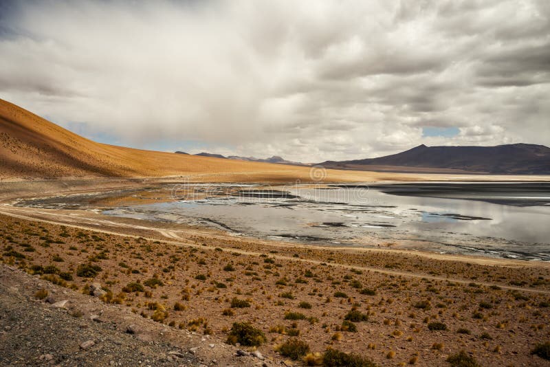 Beeld van de woestijn van atacama royalty-vrije stock foto's