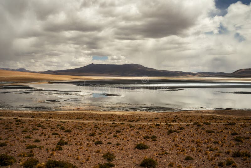 Beeld van de woestijn van atacama stock afbeeldingen