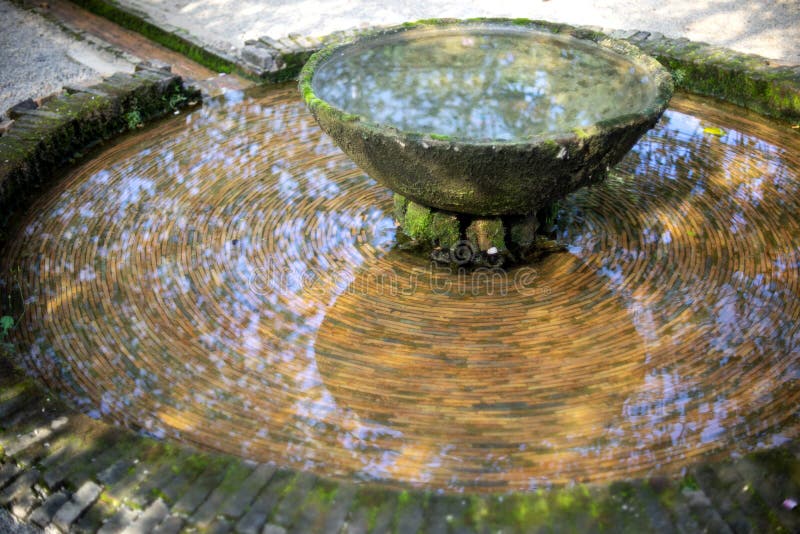 View of old Fountain basin with green algae and moss. View of old Fountain basin with green algae and moss