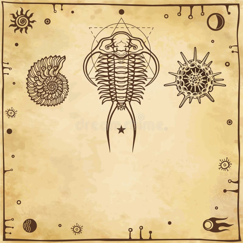 Beeld van oude mariene organismen: trilobit, weekdier, radiolaria royalty-vrije illustratie Beeld van oude mariene organismen: trilobit, weekdier, radiolaria royalty-vrije illustratie