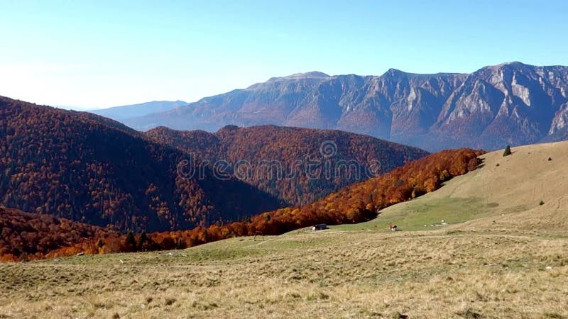 Beeld van prachtige bergpieken die boven het gekleurde bos opstijgen