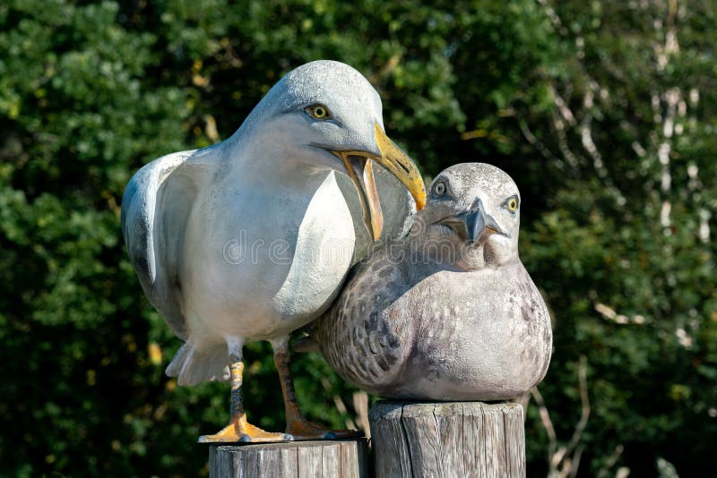 Beeldhouwwerk van een mannetje en een vrouwelijke zeemeeuw stock afbeeldingen Beeldhouwwerk van een mannetje en een vrouwelijke zeemeeuw stock afbeeldingen
