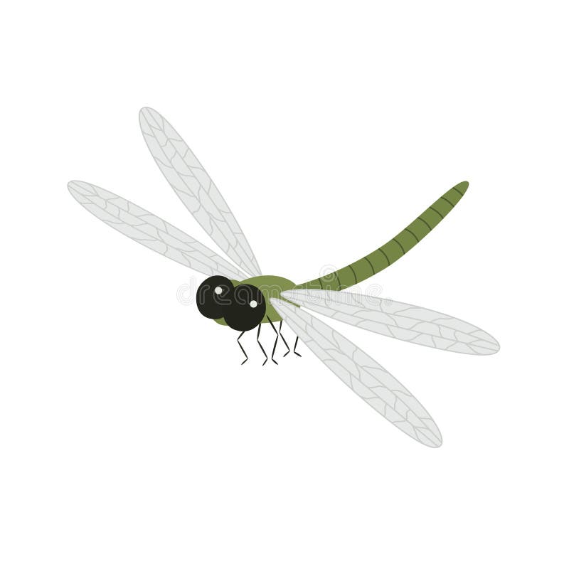 Cartoon beautiful dragonfly isolated on white background vector Illustration. Cartoon beautiful dragonfly isolated on white background vector Illustration