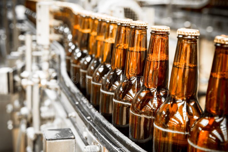 Beer bottles on the conveyor belt stock images Beer bottles on the conveyor belt stock images