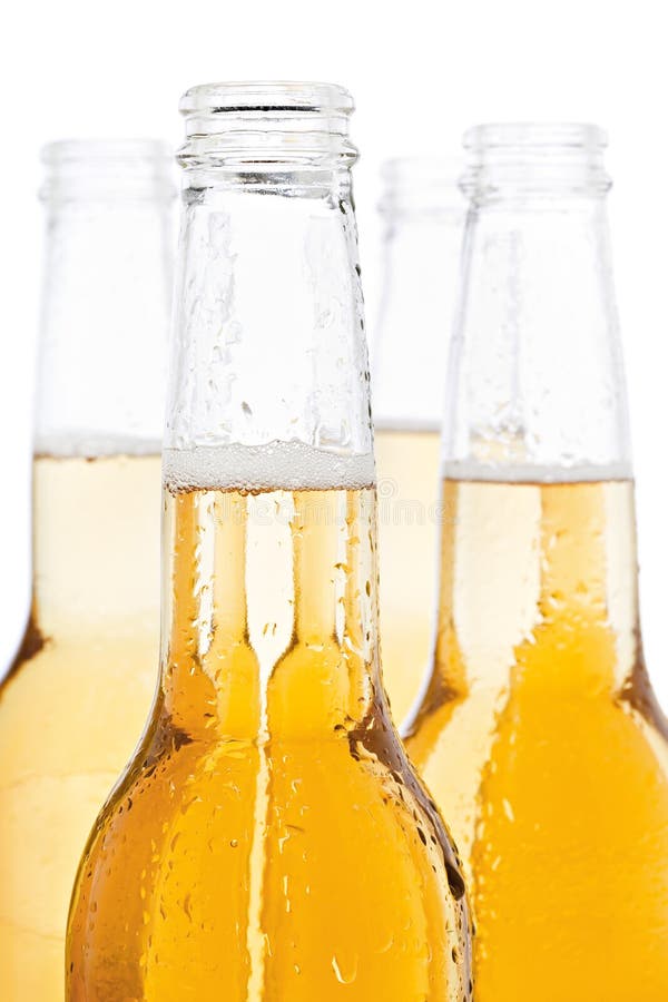 Beer bottles isolated