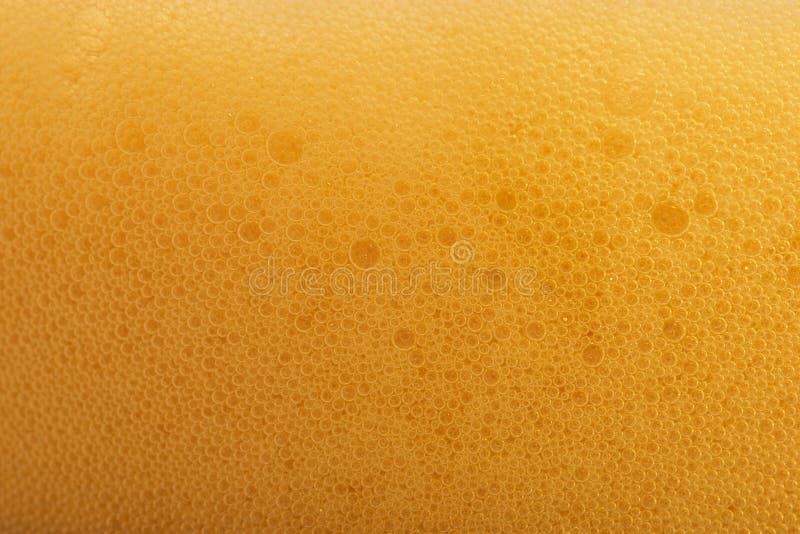 Beer Bubbles