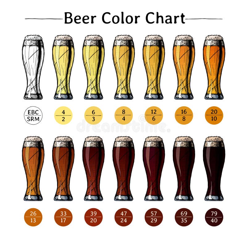 Beer color chart stock vector. Illustration of brewing 111337729