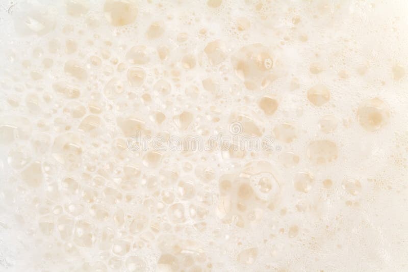 Beer Froth