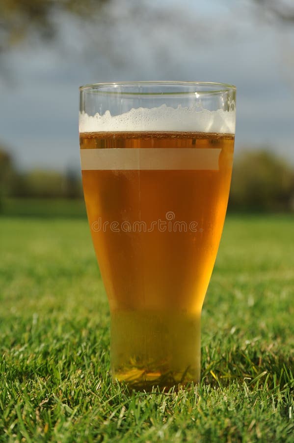 Beer in the garden stock image. Image of glass, pint 19939319