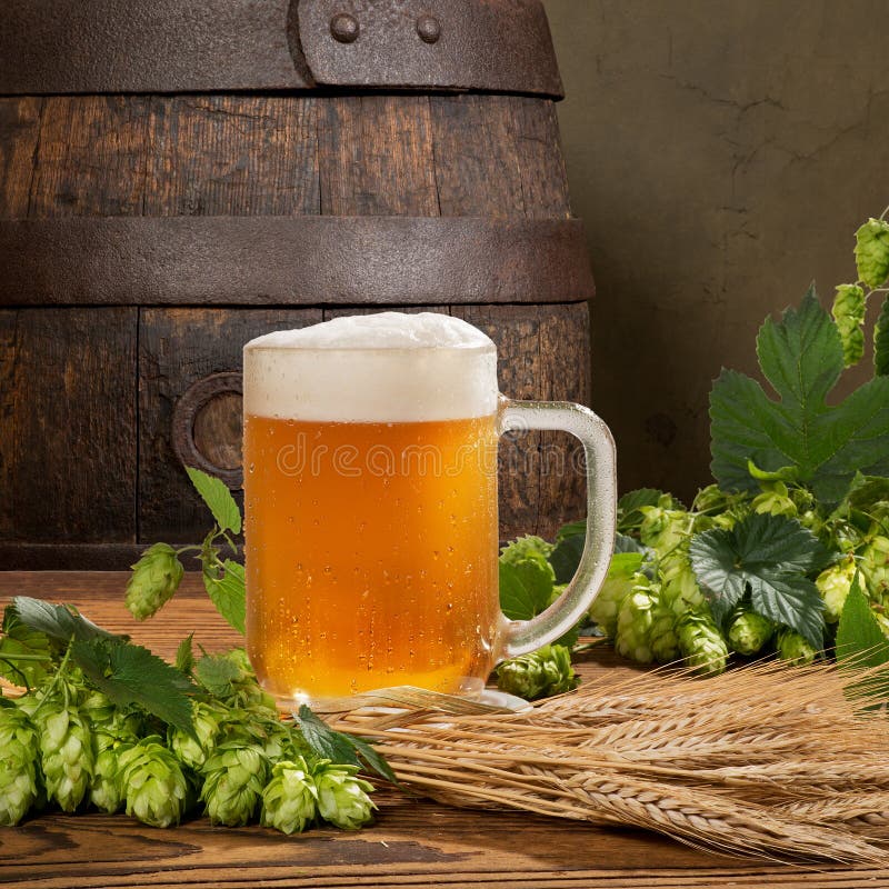 Beer Glass and Hop Cones stock image Beer Glass and Hop Cones stock image