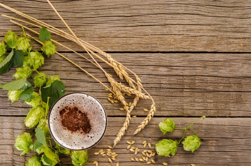 Beer in glass, hops plant green cones, barley and wheat ears on wooden table background, copy space