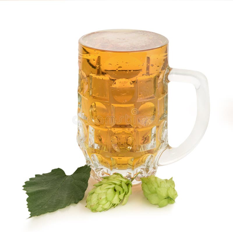 Beer and hops stock photo. Image of wheat, booze, malt 147142894