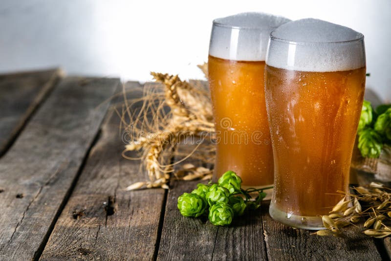Beer and Ingredients Hops, Wheat, Barley on Wood Background Stock Image