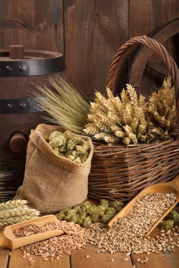 Beer ingredients stock photo. Image of rattan, hops, beaten 62794640