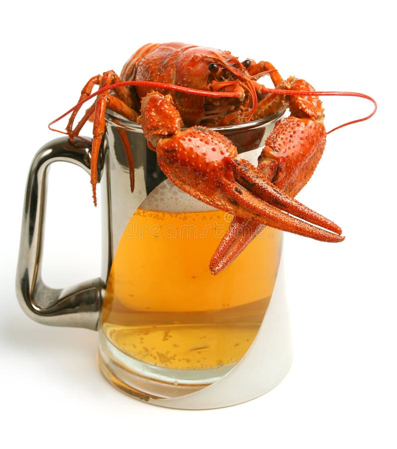 Beer mug with crawfish on white background