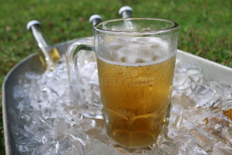 Beer Mug In Ice Bucket With Beer Bottles Stock Image Image of beer