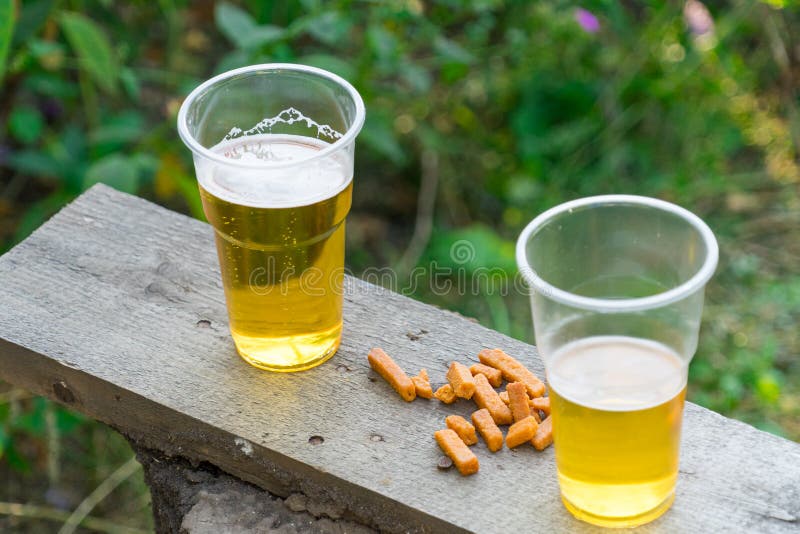 Beer in a Plastic Cup. Alcohol at the Picnic Stock Image Image of