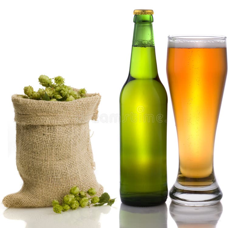 Beer still life stock photo. Image of gold, sack, dishware 17536950