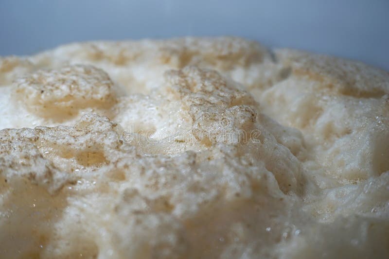 Beer Yeast Foam Alcohol Fermentation Process Stock Image Image of